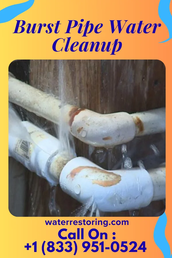 Burst Pipe Water Cleanup in Middlebourne, WV
