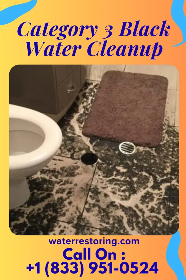 Category 3 Black Water Cleanup in Middlebourne, WV