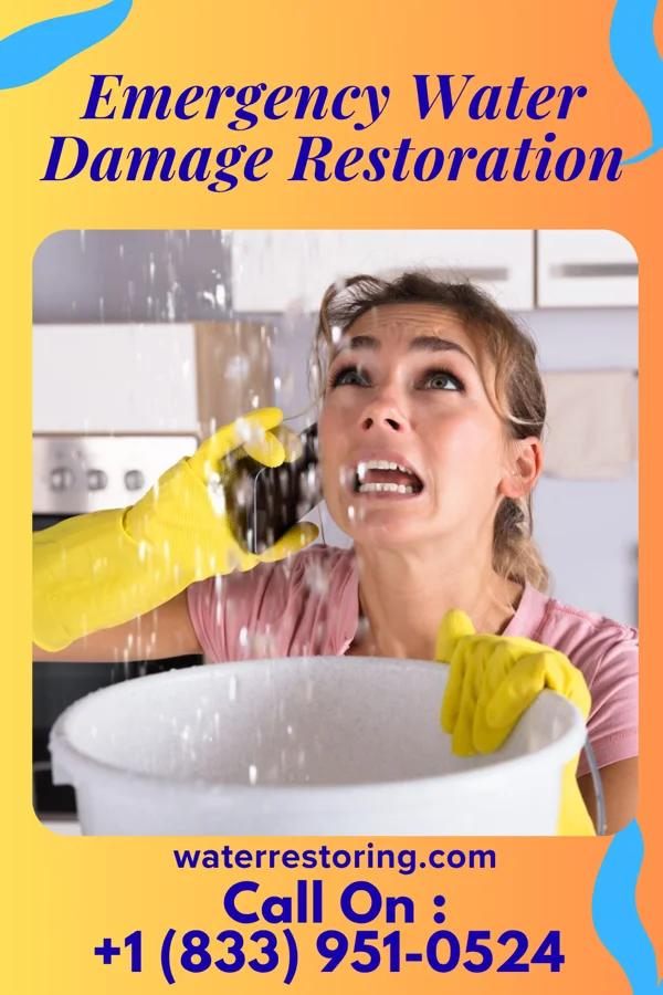Emergency Water Damage Restoration in Middlebourne, WV