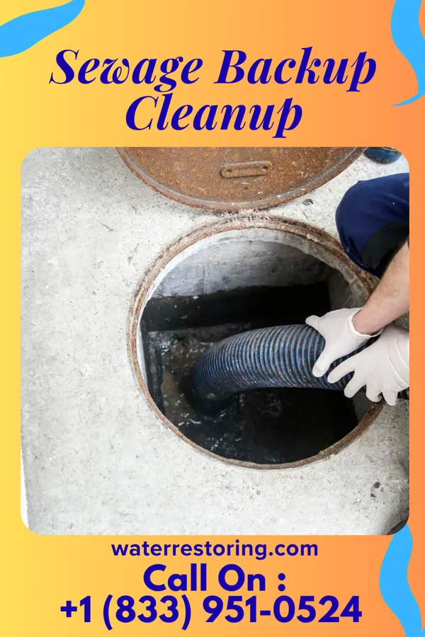 Sewage Backup Cleanup in Middlebourne, WV