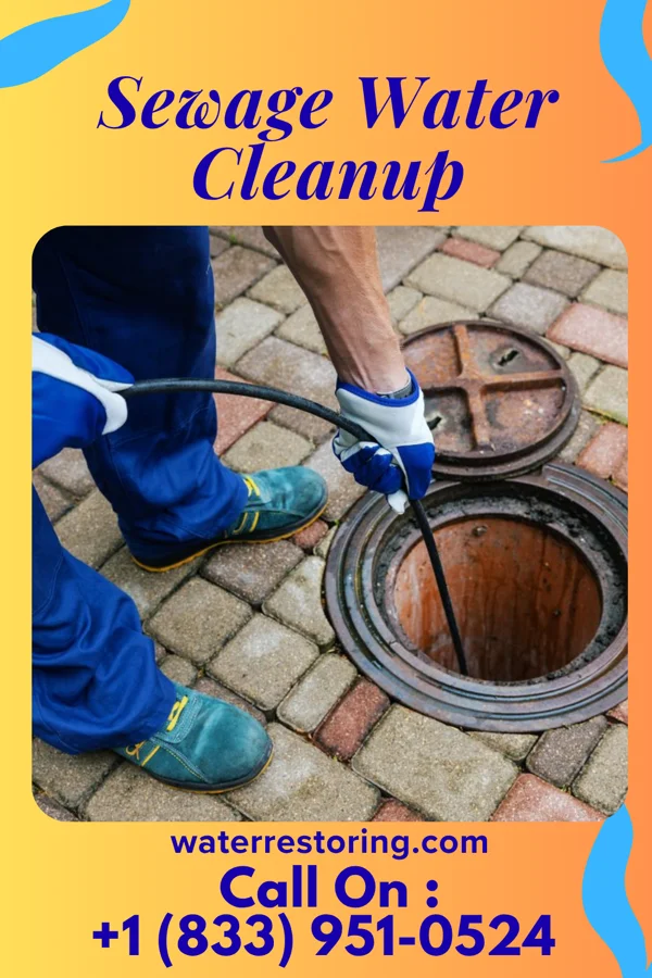 Sewage Water Cleanup in Middlebourne, WV