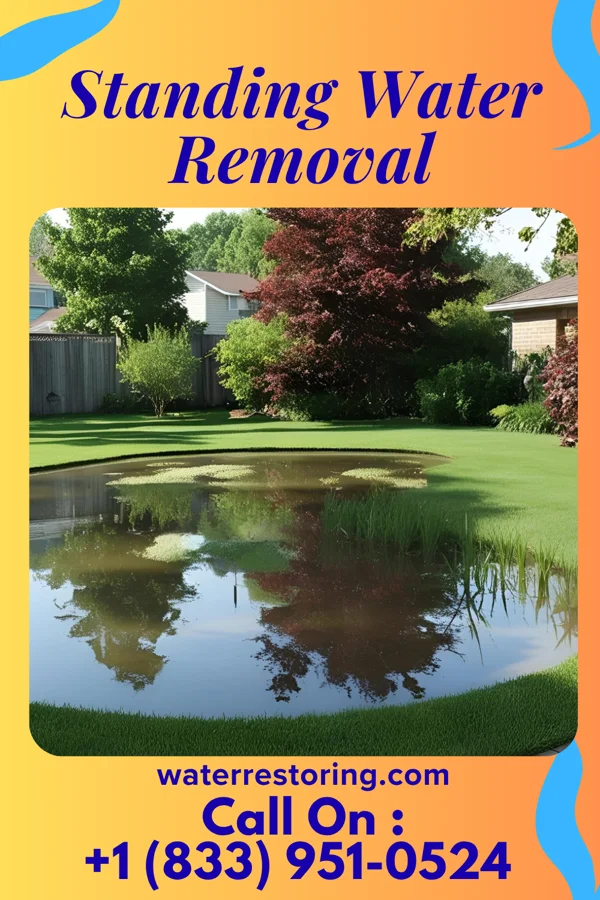 Standing Water Removal in Middlebourne, WV